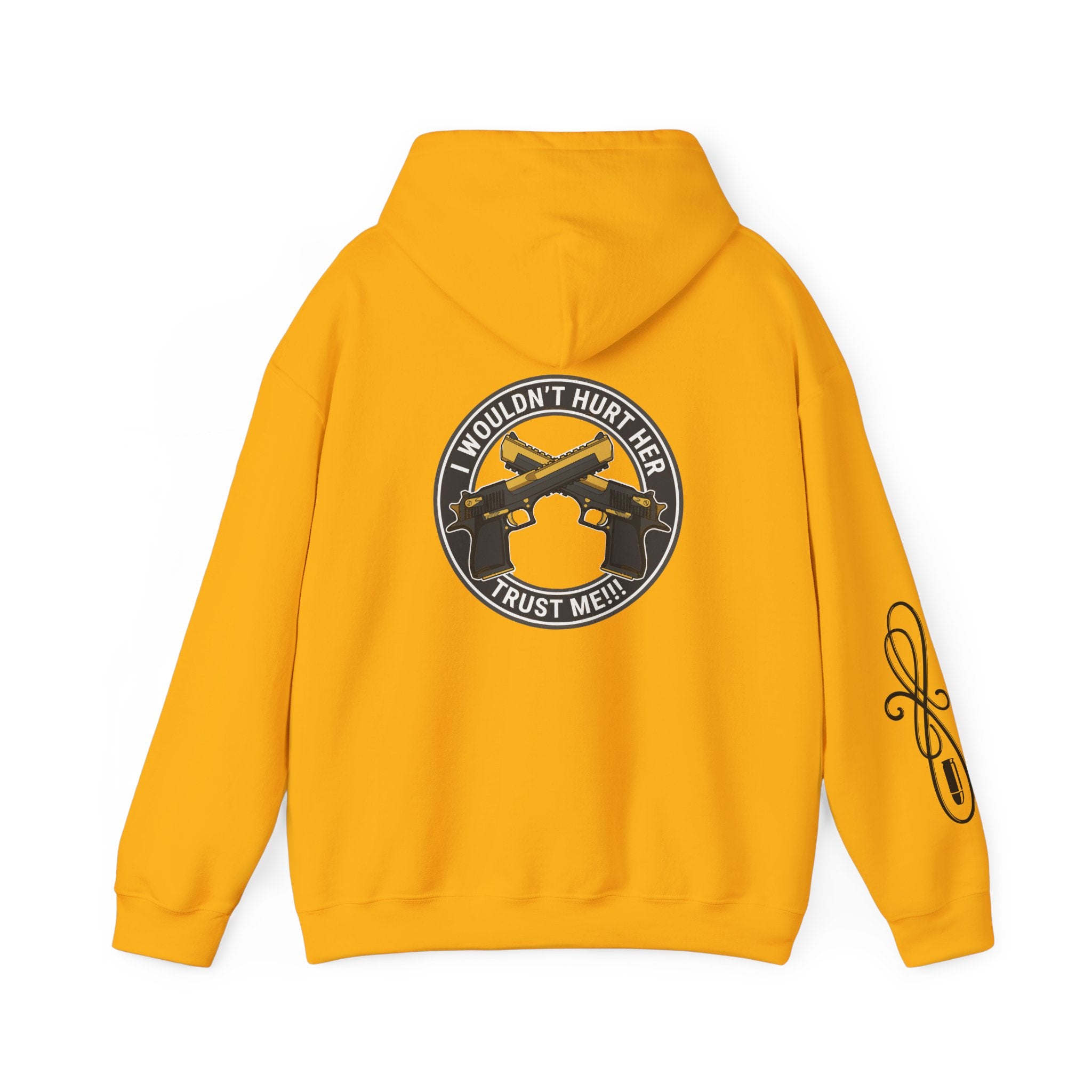 Protective Dad Pistols - Hoodie | Here’s Your Warning