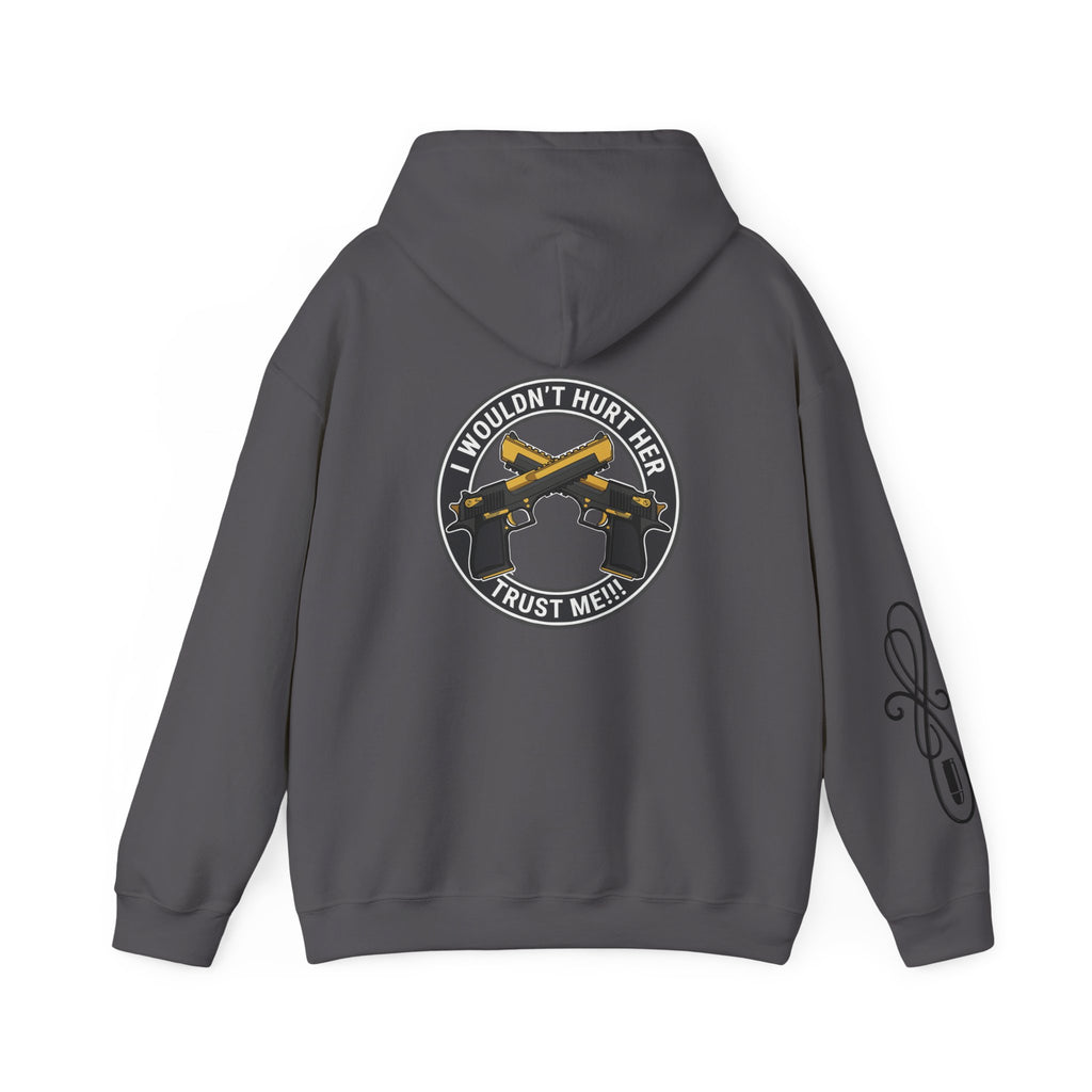 Protective Dad Pistols - Hoodie | Here’s Your Warning