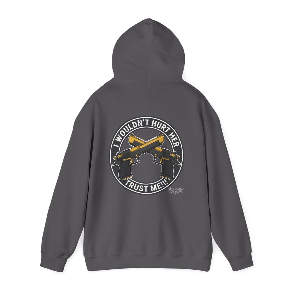 Protective Dad Pistols - Hoodie | Here’s Your Warning
