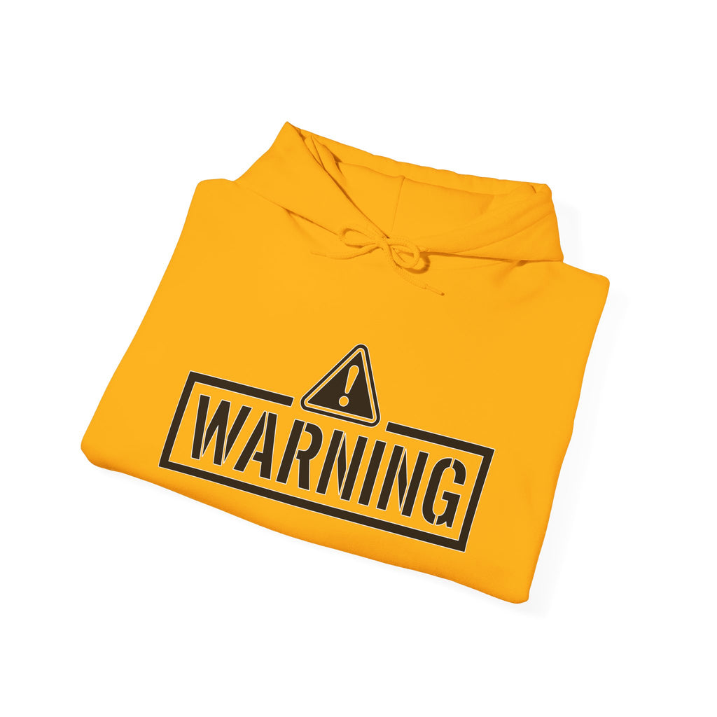 Protective Dad Pistols - Hoodie | Here’s Your Warning
